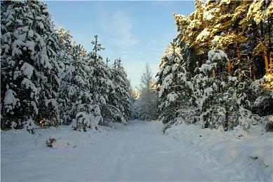 《漫威银河护卫队》新预告：大反派与德拉克斯调情